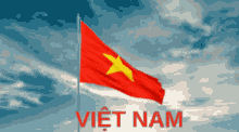 Từ Điển Ngôn Ngữ Ký Hiệu Hân Hạnh Treo Cờ Việt Nam